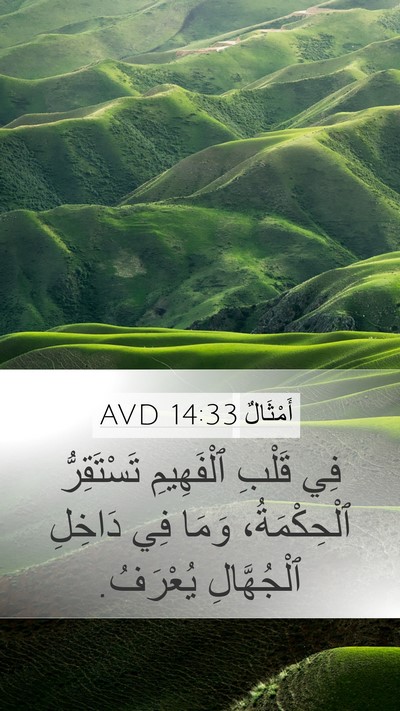 أَمْثَالٌ 14:33 AVD Bible Verse Image