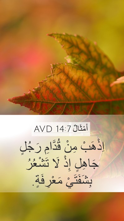 أَمْثَالٌ 14:7 AVD Bible Verse Image