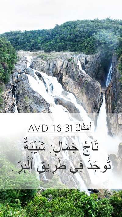 أَمْثَالٌ 16:31 AVD Bible Verse Image
