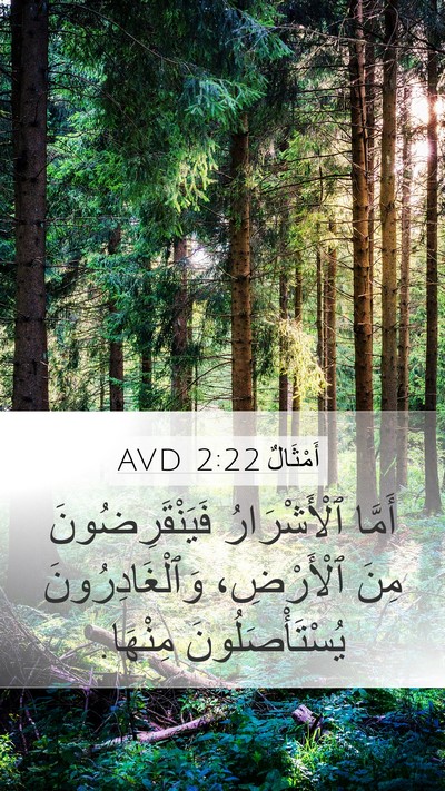 أَمْثَالٌ 2:22 AVD Bible Verse Image