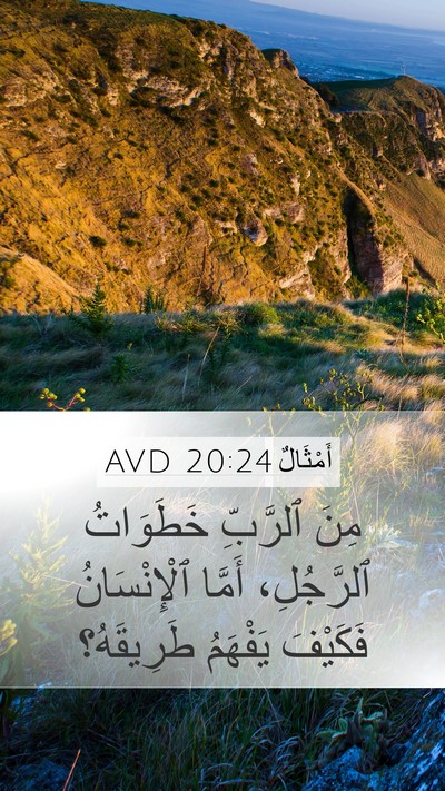 أَمْثَالٌ 20:24 AVD Bible Verse Image