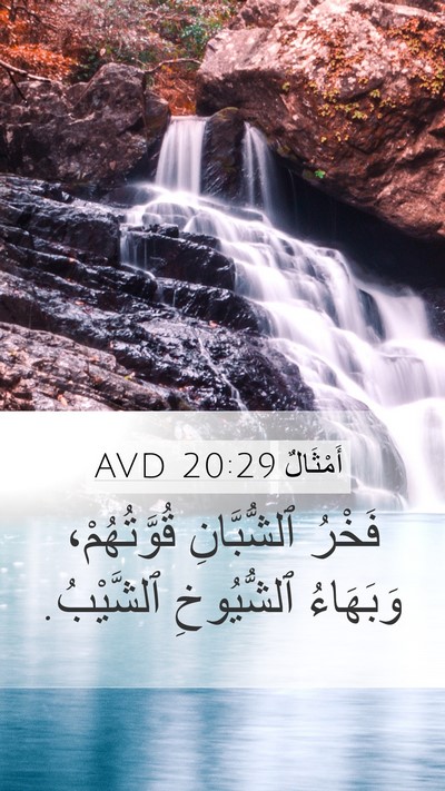 أَمْثَالٌ 20:29 AVD Bible Verse Image