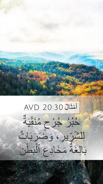 أَمْثَالٌ 20:30 AVD Mobile Phone Wallpaper - حُبُرُ جُرْحٍ مُنَقِّيَةٌ - Mobile Bible Verse Wallpaper