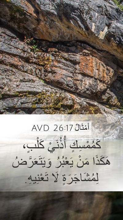 أَمْثَالٌ 26:17 AVD Bible Verse Image