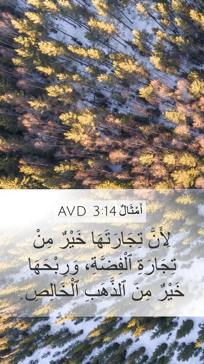 أَمْثَالٌ 3:14 AVD Bible Verse Image