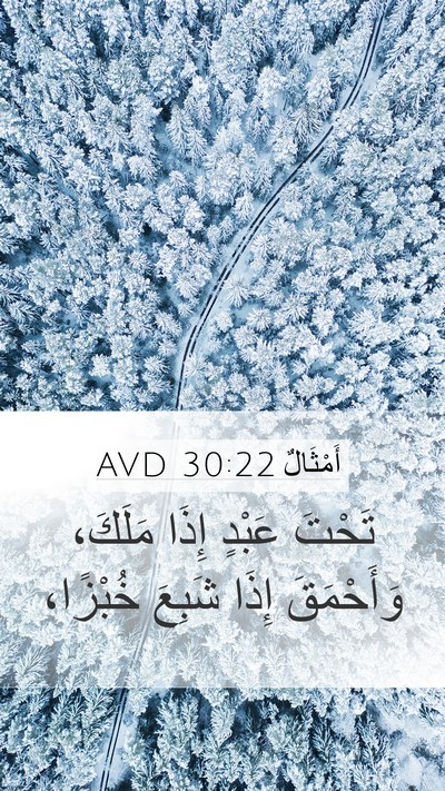أَمْثَالٌ 30:22 AVD Bible Verse Image