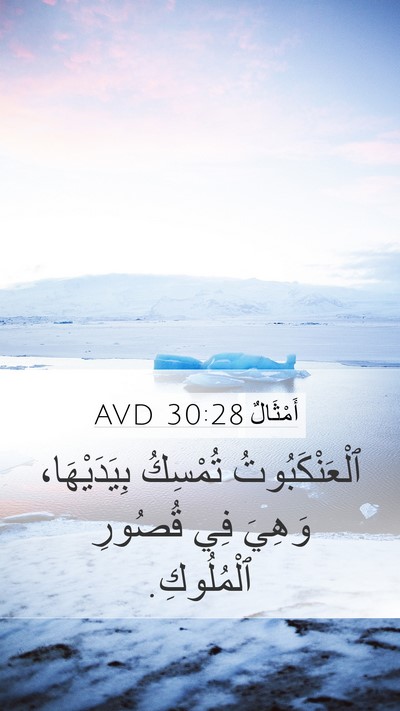 أَمْثَالٌ 30:28 AVD Mobile Phone Wallpaper - ٱلْعَنْكَبُوتُ تُمْسِكُ - Mobile Bible Verse Wallpaper