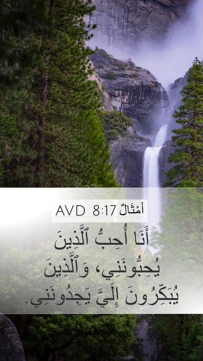 أَمْثَالٌ 8:17 AVD Bible Verse Image