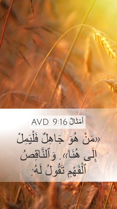 أَمْثَالٌ 9:16 AVD Bible Verse Image