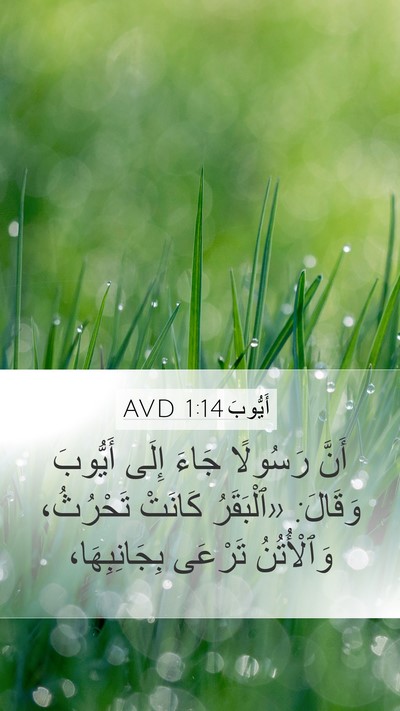 أَيُّوبَ 1:14 AVD Bible Verse Image