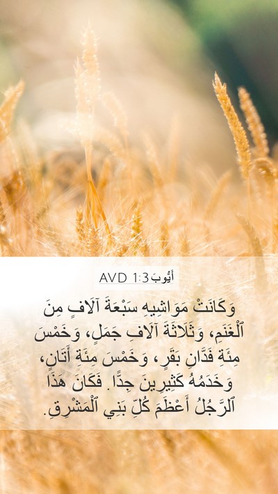 أَيُّوبَ 1:3 AVD Bible Verse Image