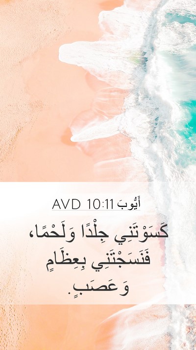 أَيُّوبَ 10:11 AVD Mobile Phone Wallpaper - كَسَوْتَنِي جِلْدًا - Mobile Bible Verse Wallpaper