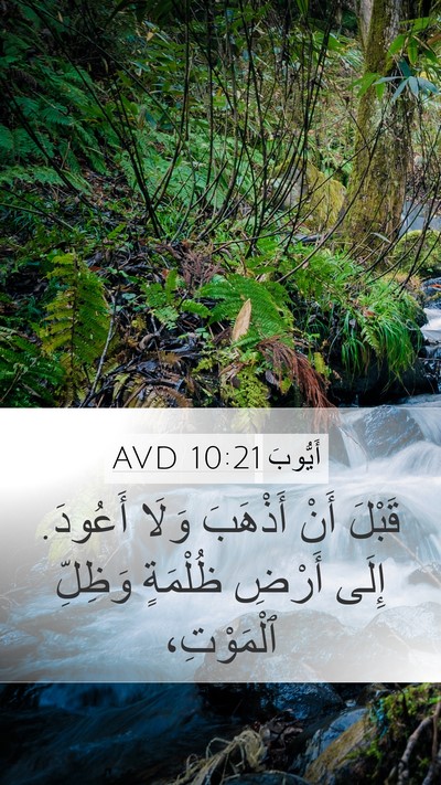 أَيُّوبَ 10:21 AVD Bible Verse Image