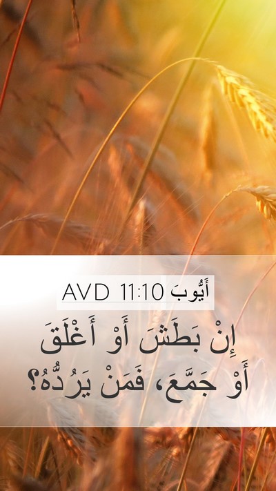 أَيُّوبَ 11:10 AVD Bible Verse Image