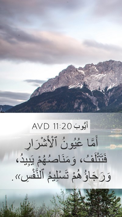 أَيُّوبَ 11:20 AVD Bible Verse Image