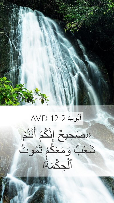 أَيُّوبَ 12:2 AVD Bible Verse Image