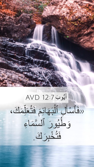 أَيُّوبَ 12:7 AVD Bible Verse Image