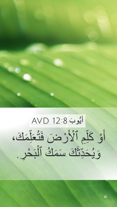 أَيُّوبَ 12:8 AVD Bible Verse Image