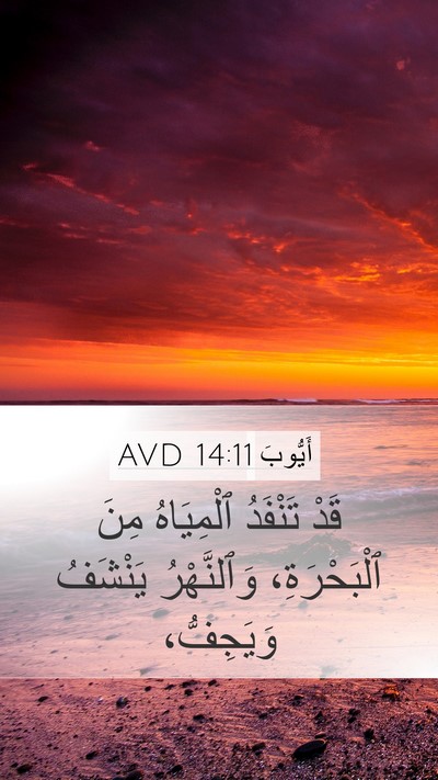 أَيُّوبَ 14:11 AVD Mobile Phone Wallpaper - قَدْ تَنْفَدُ ٱلْمِيَاهُ - Mobile Bible Verse Wallpaper