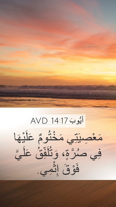 أَيُّوبَ 14:17 AVD Bible Verse Image