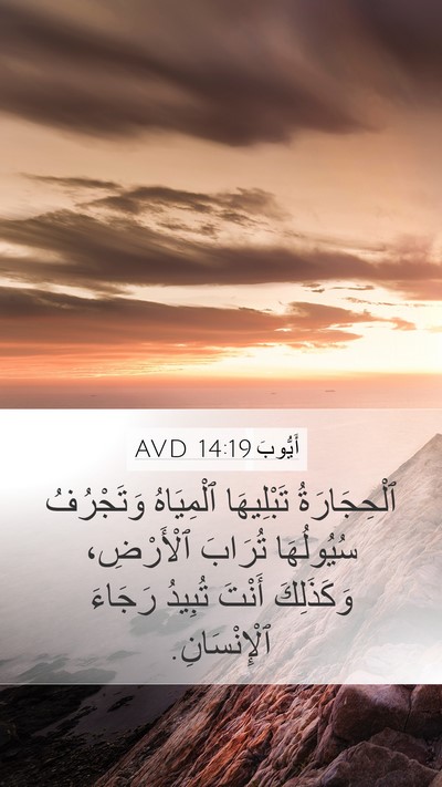أَيُّوبَ 14:19 AVD Bible Verse Image