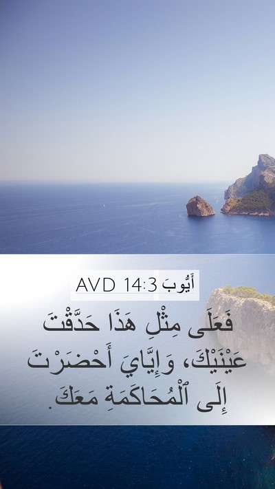 أَيُّوبَ 14:3 AVD Bible Verse Image