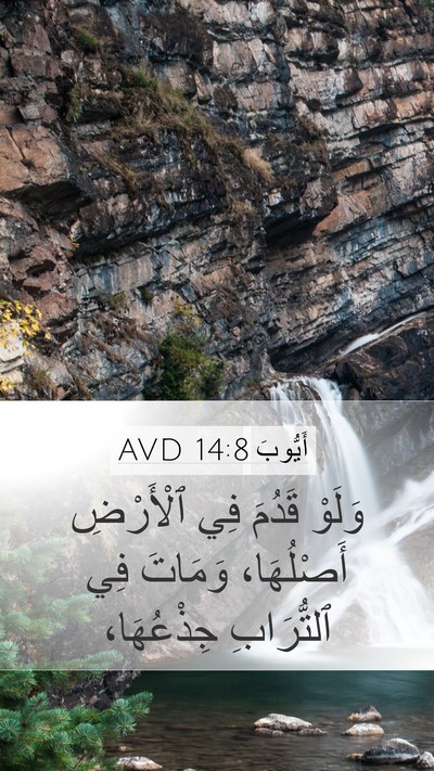 أَيُّوبَ 14:8 AVD Mobile Phone Wallpaper - وَلَوْ قَدُمَ فِي - Mobile Bible Verse Wallpaper