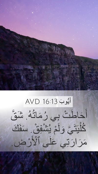 أَيُّوبَ 16:13 AVD Bible Verse Image