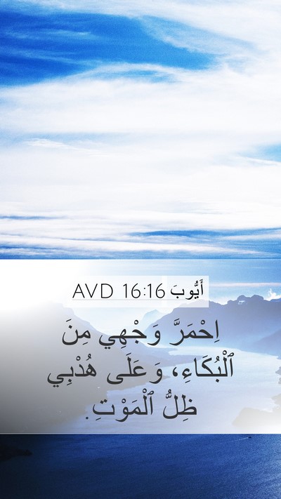أَيُّوبَ 16:16 AVD Bible Verse Image
