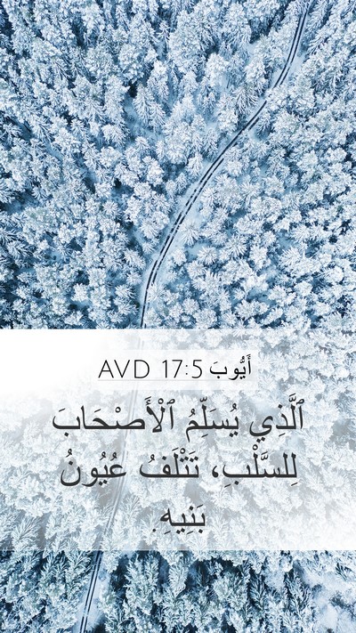 أَيُّوبَ 17:5 AVD Bible Verse Image