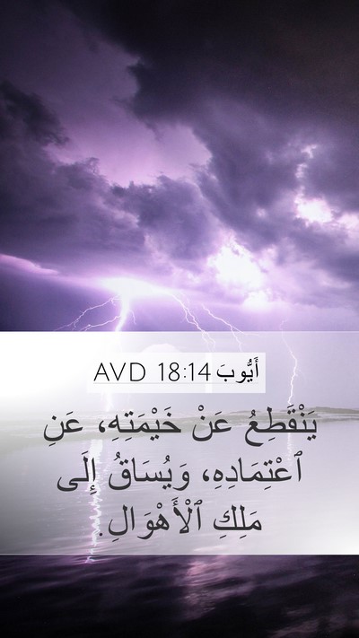 أَيُّوبَ 18:14 AVD Bible Verse Image