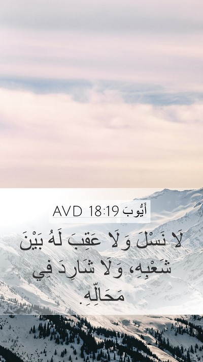 أَيُّوبَ 18:19 AVD Bible Verse Image
