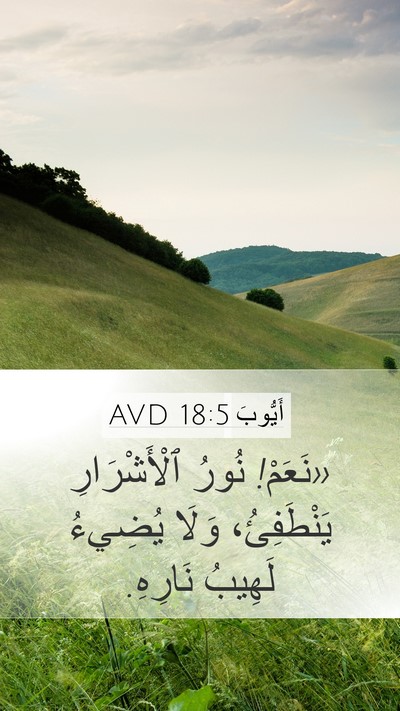 أَيُّوبَ 18:5 AVD Bible Verse Image