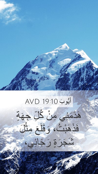 أَيُّوبَ 19:10 AVD Bible Verse Image