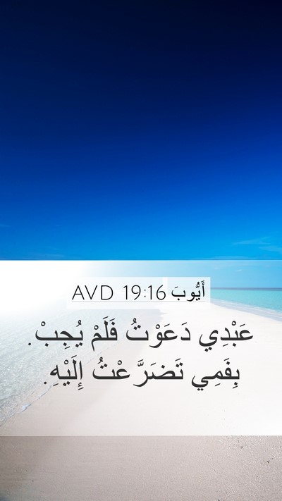 أَيُّوبَ 19:16 AVD Bible Verse Image