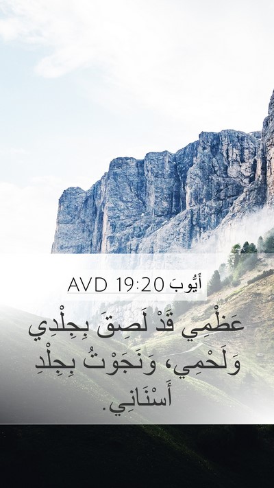 أَيُّوبَ 19:20 AVD Bible Verse Image