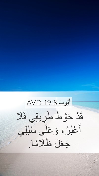 أَيُّوبَ 19:8 AVD Bible Verse Image