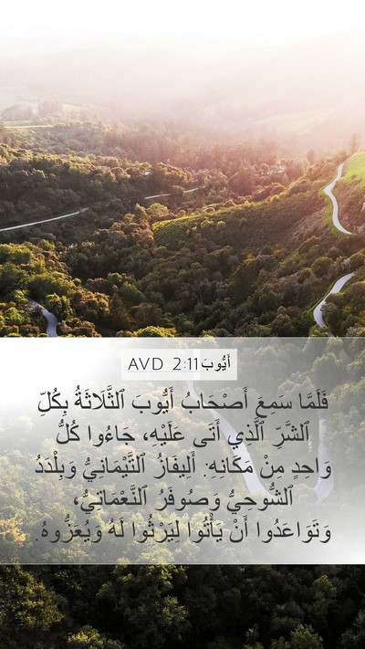 أَيُّوبَ 2:11 AVD Bible Verse Image