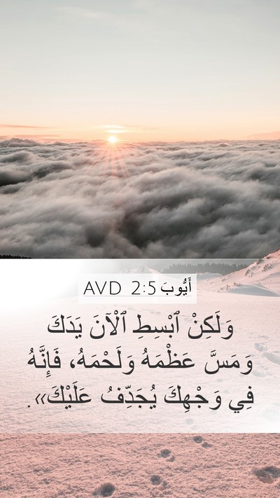أَيُّوبَ 2:5 AVD Bible Verse Image