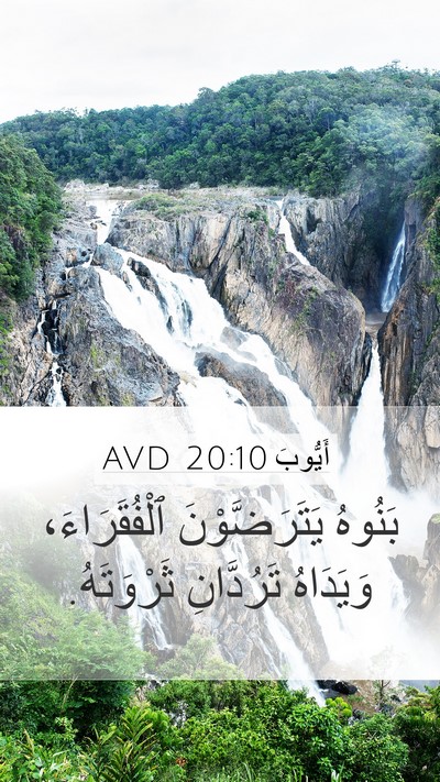أَيُّوبَ 20:10 AVD Bible Verse Image