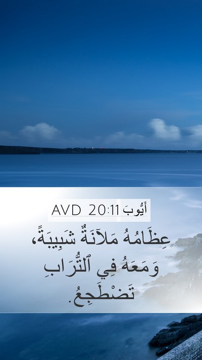 أَيُّوبَ 20:11 AVD Bible Verse Image