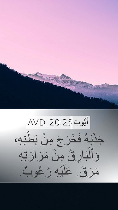 أَيُّوبَ 20:25 AVD Bible Verse Image