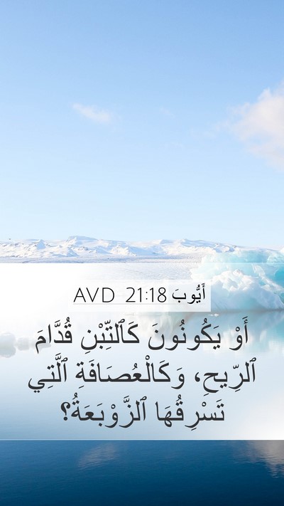 أَيُّوبَ 21:18 AVD Bible Verse Image