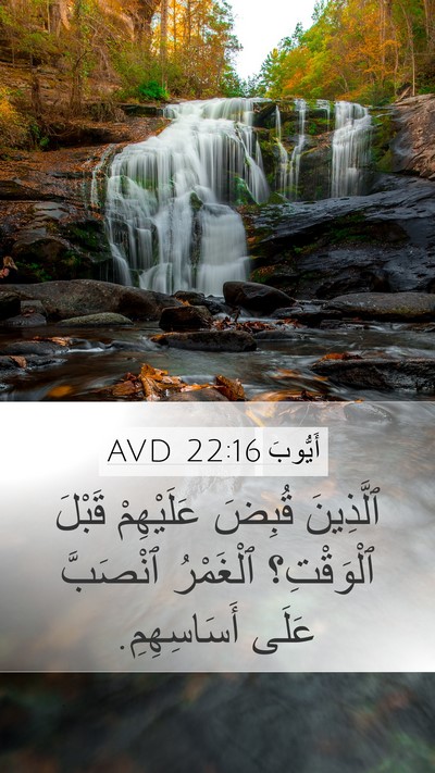 أَيُّوبَ 22:16 AVD Bible Verse Image