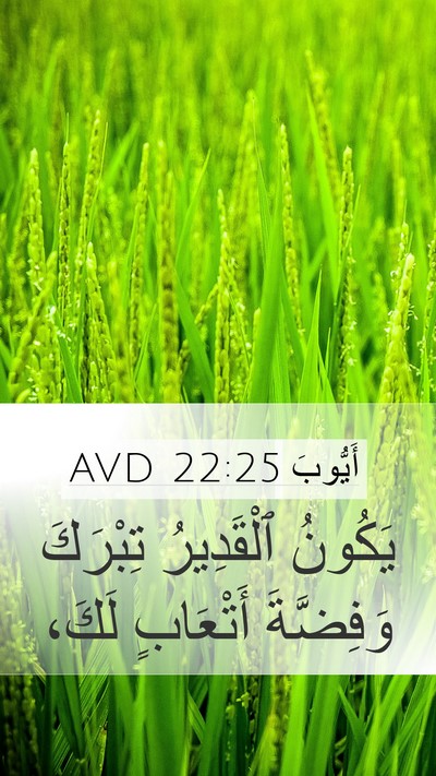 أَيُّوبَ 22:25 AVD Mobile Phone Wallpaper - يَكُونُ ٱلْقَدِيرُ - Mobile Bible Verse Wallpaper