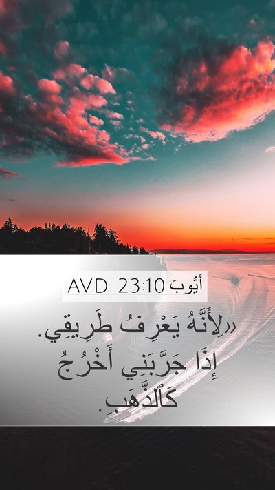 أَيُّوبَ 23:10 AVD Bible Verse Image