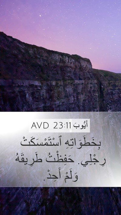 أَيُّوبَ 23:11 AVD Bible Verse Image