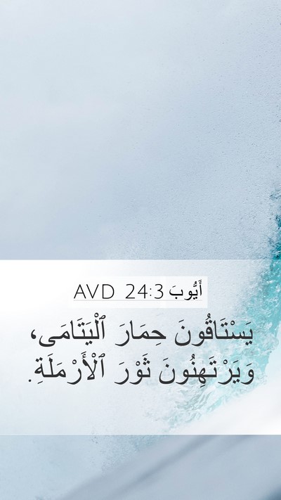 أَيُّوبَ 24:3 AVD Bible Verse Image