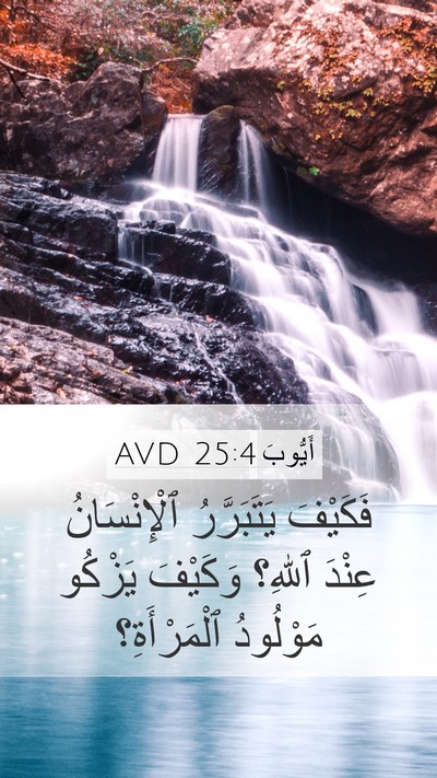 أَيُّوبَ 25:4 AVD Bible Verse Image