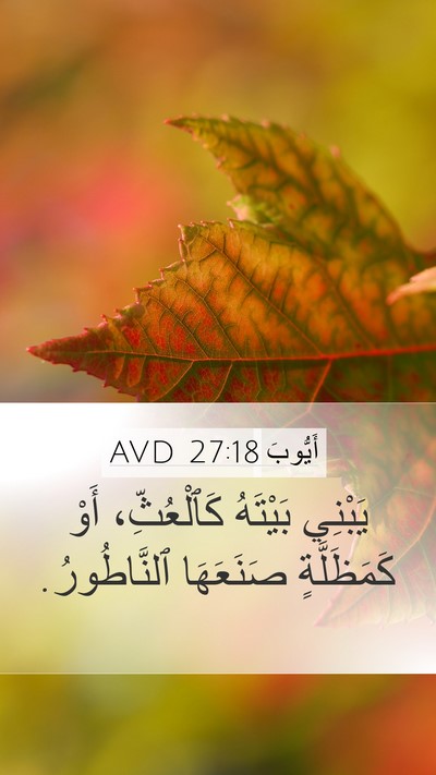 أَيُّوبَ 27:18 AVD Bible Verse Image